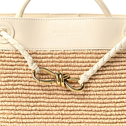 Bottega Veneta Raffia Calfskin Small Andiamo Shoulder Bag Sea Salt Natural 6 of 9
