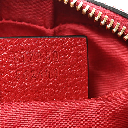 Gucci Canvas Sylvie Stripe Mini Ophidia Camera Bag Mystic White Hibiscus Red Maritime 6 of 9