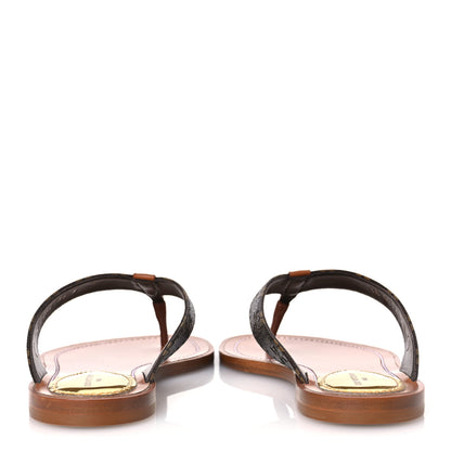 Louis Vuitton Monogram Sunny Flat Thong Sandals 36 Brown 6 of 13