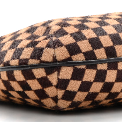 Louis Vuitton Calf Hair Damier Sauvage Tigre 8 of 15