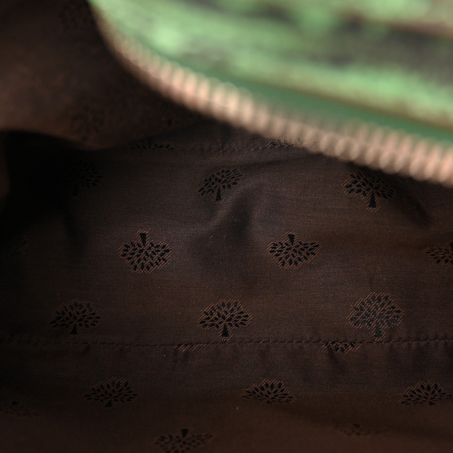 Mulberry Lizard Print Camera Bag Grass Green 5 of 9