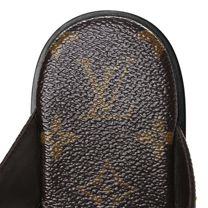 Louis Vuitton Monogram Sunny Flat Thong Sandals 35 Brown 9 of 11