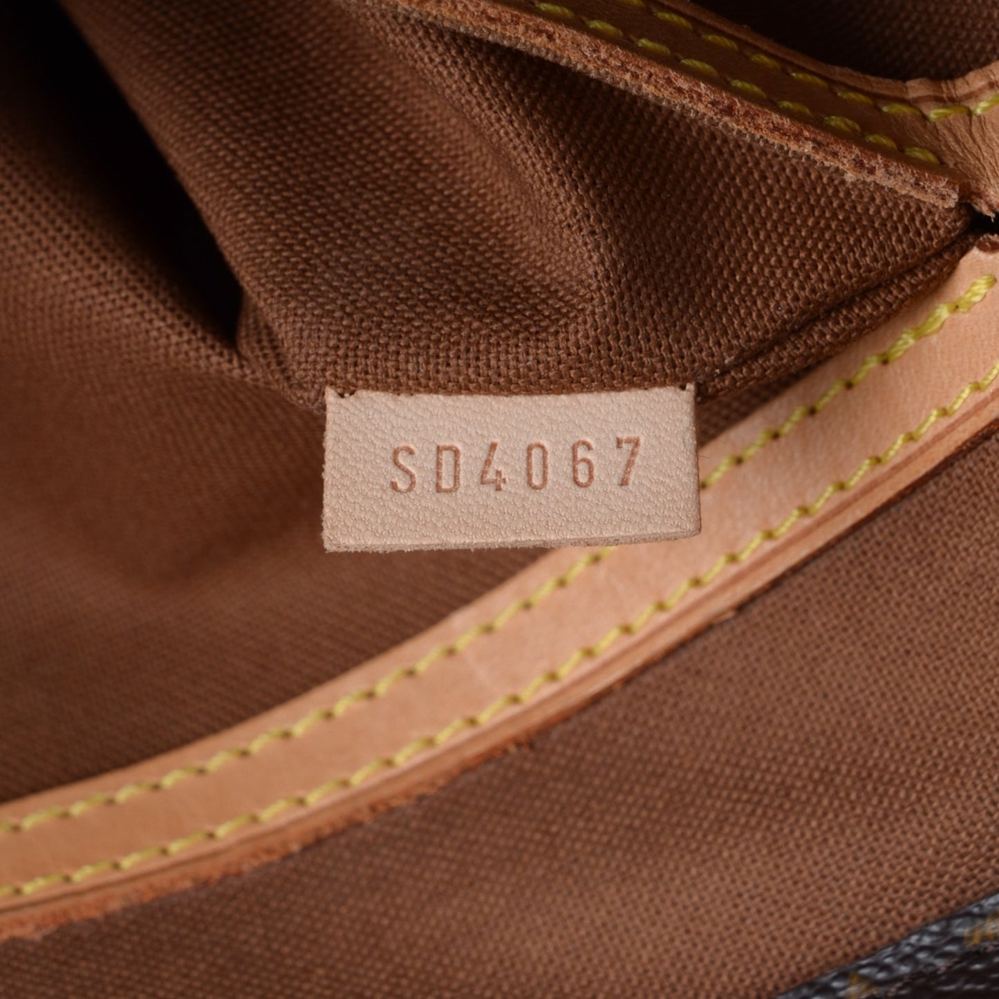 Monogram Cabas Mezzo