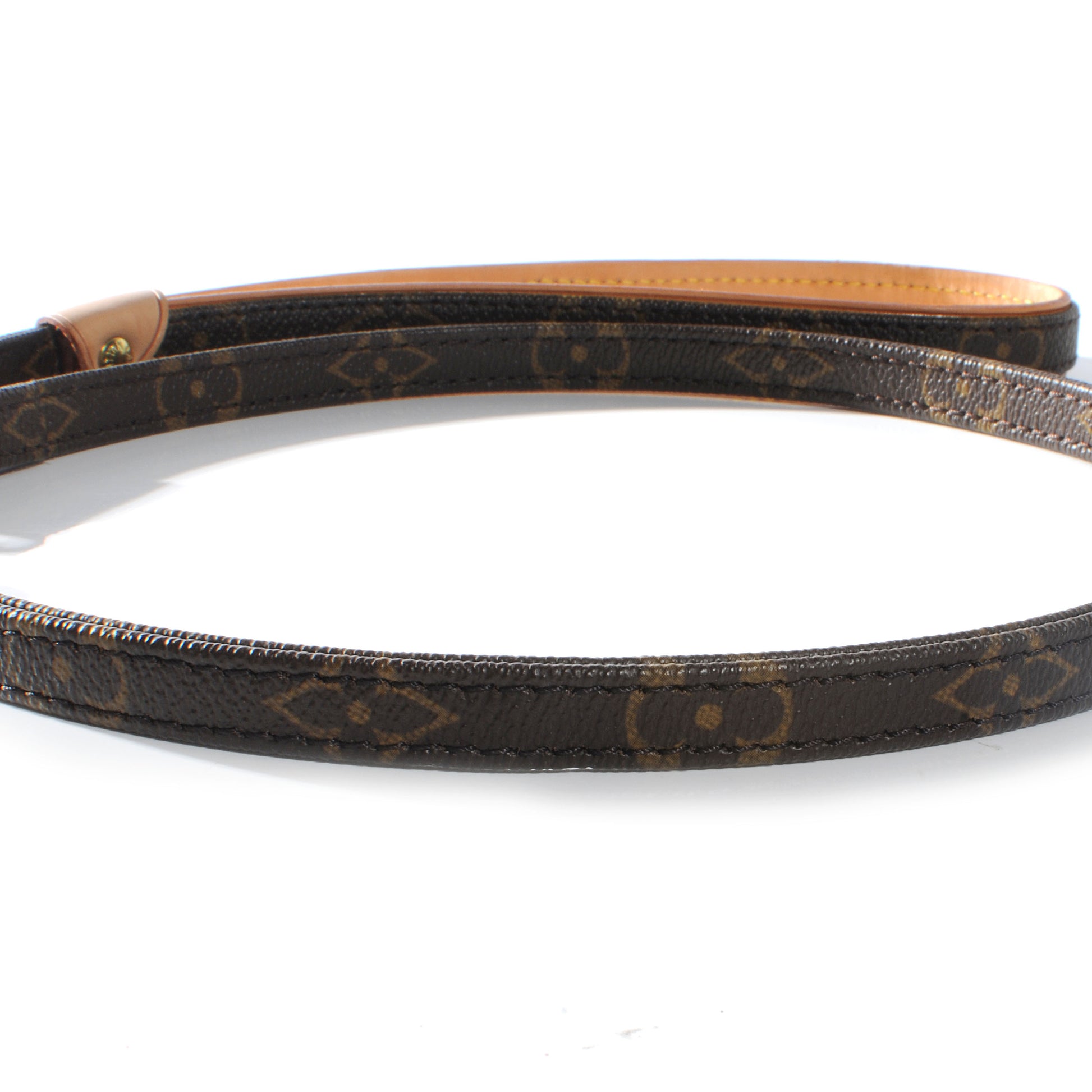 Louis Vuitton Monogram Baxter Dog Leash Lead 5 of 5