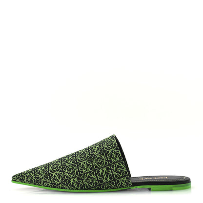 Loewe Jacquard Anagram Calfskin Pointy Mule Sandals 40 Apple Green 1 of 11