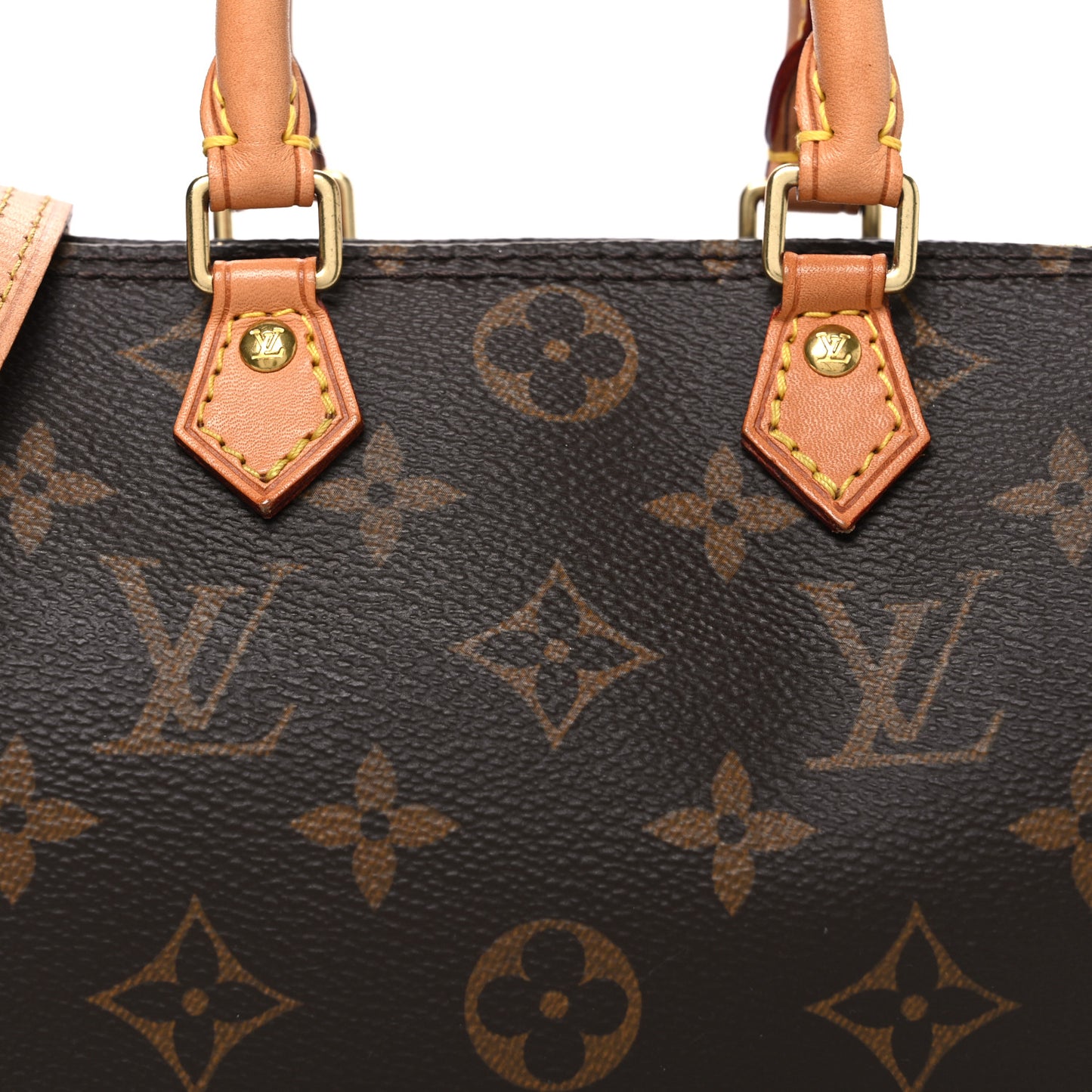 Monogram Nano Speedy