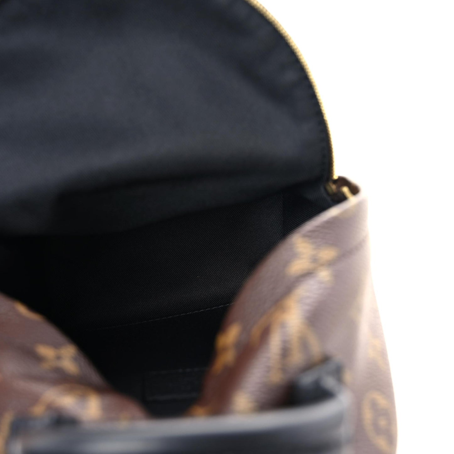 Monogram Palm Springs Backpack Mini