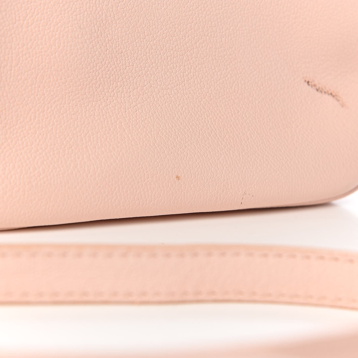 Calfskin Palazzo Camera Bag Light Pink