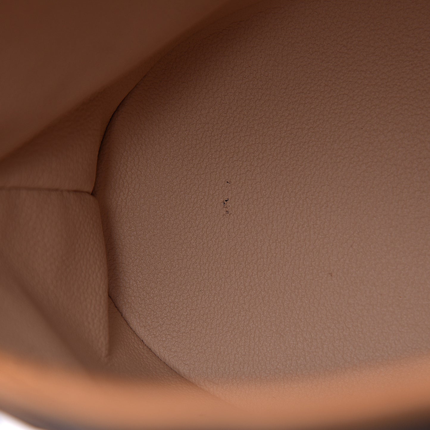 Monogram Petit Bucket 23