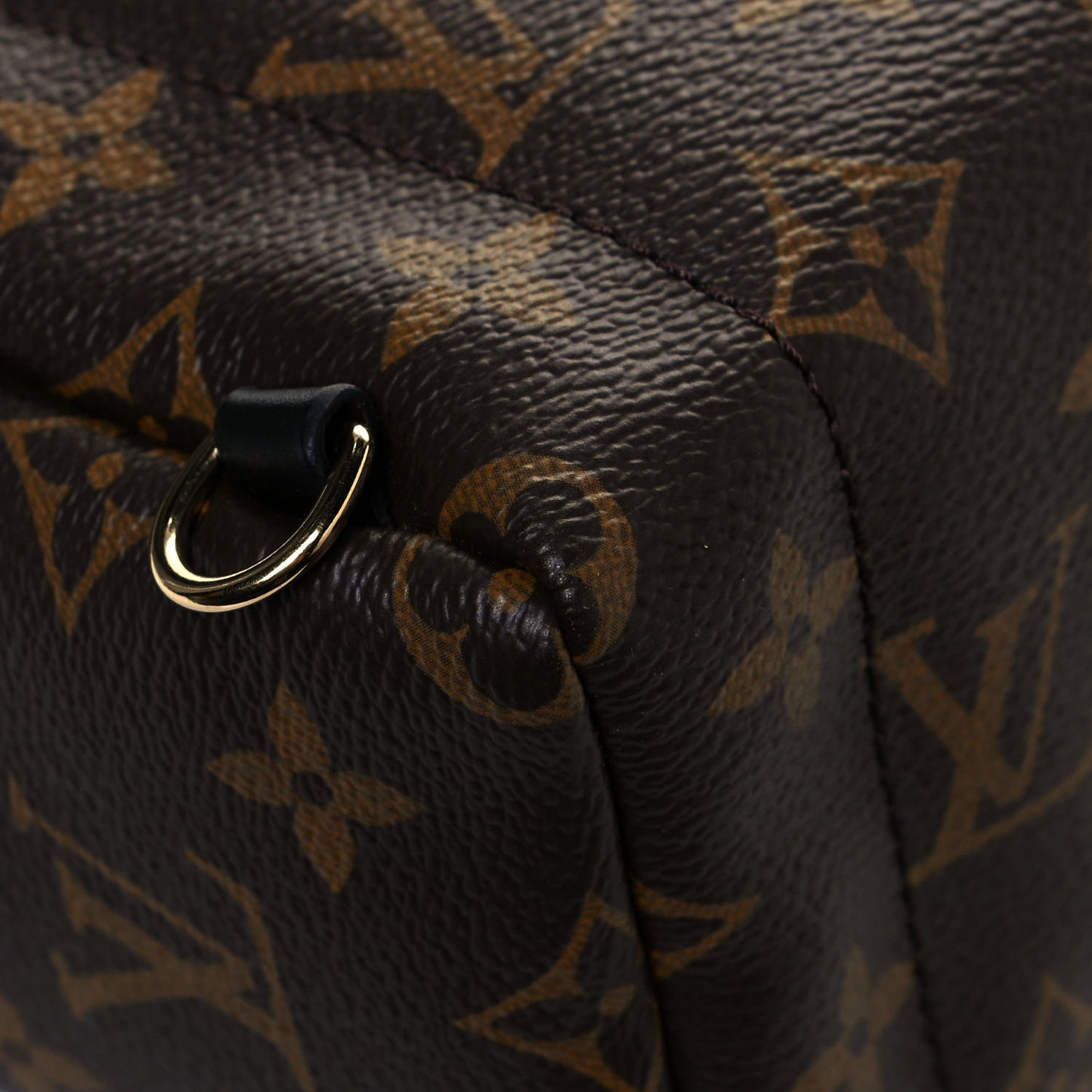 Monogram Palm Springs Backpack Mini