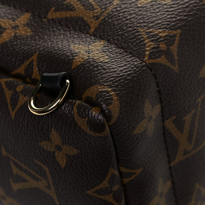 Louis Vuitton Monogram Palm Springs Backpack Mini 11 of 12
