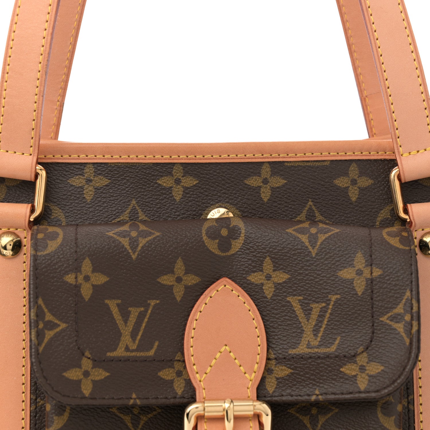 Louis Vuitton Monogram Sac Baxter PM Dog Pet Carrier 8 of 13