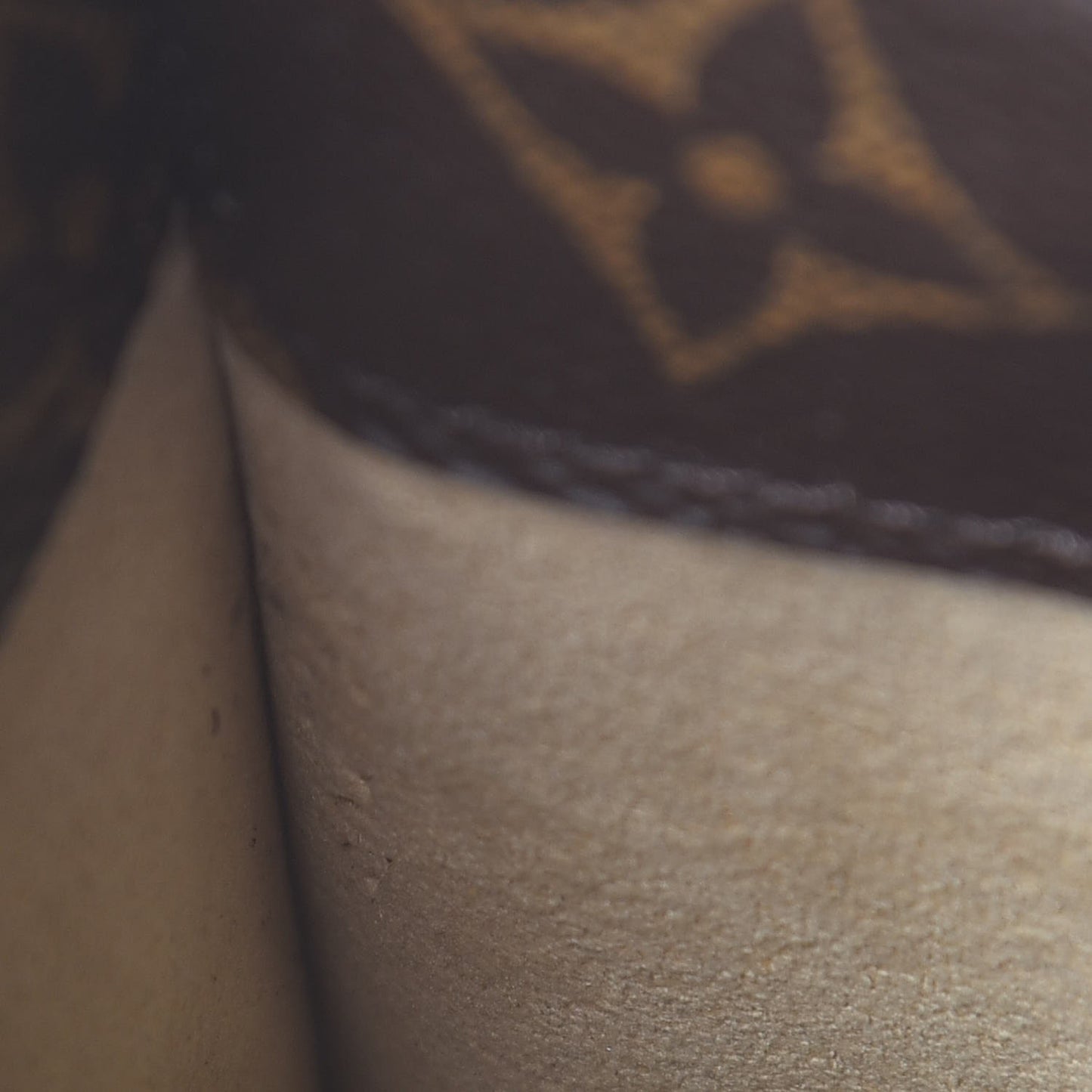 Monogram Sunglasses Case MM