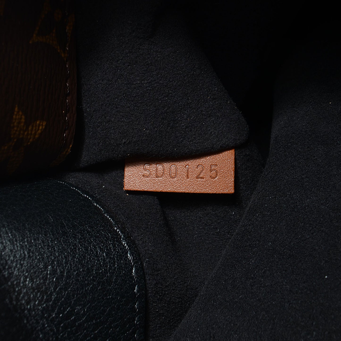 Monogram Pallas Black