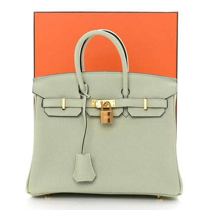 Hermes Togo Birkin 25 Gris Neve 15 of 15