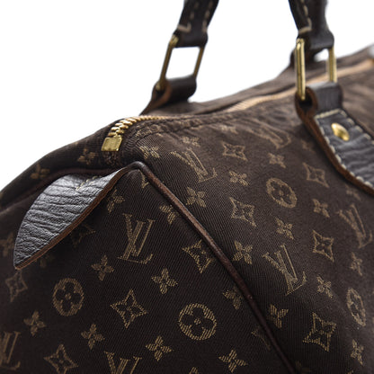 Louis Vuitton Mini Lin Speedy 30 Ebene 13 of 13