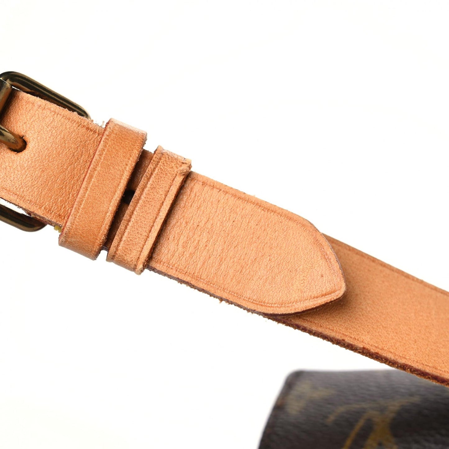 Monogram Cartouchiere 22