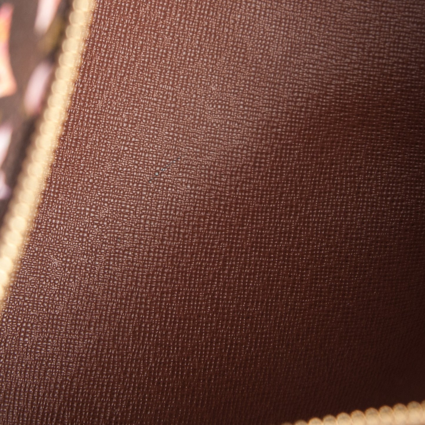 Watercolor Aquarelle Papillon