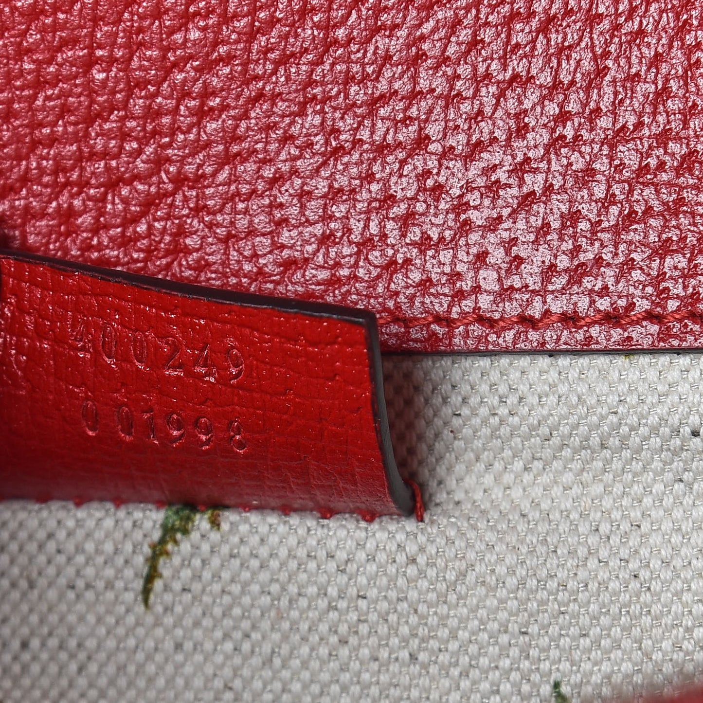 Calfskin Web Floral Embroidered Small Dionysus Shoulder Bag Hibiscus Red
