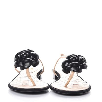 Chanel Lambskin Camellia Thong Sandals 38 Beige Black 2 of 7