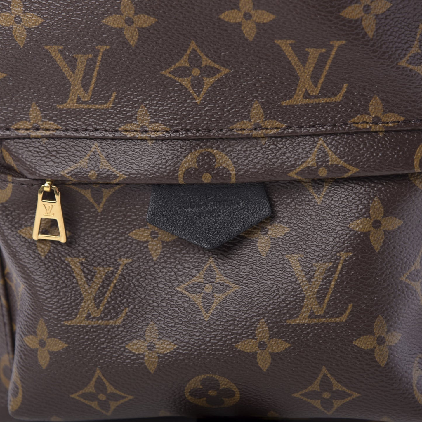 Monogram Palm Springs Backpack PM