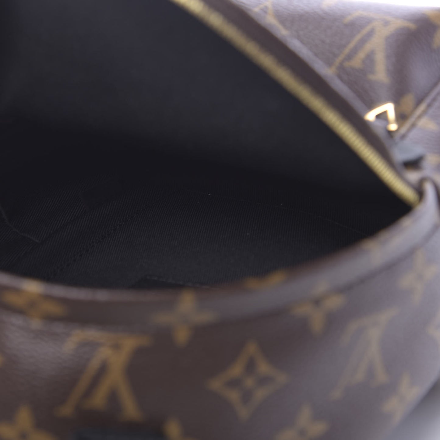 Monogram Palm Springs Backpack Mini