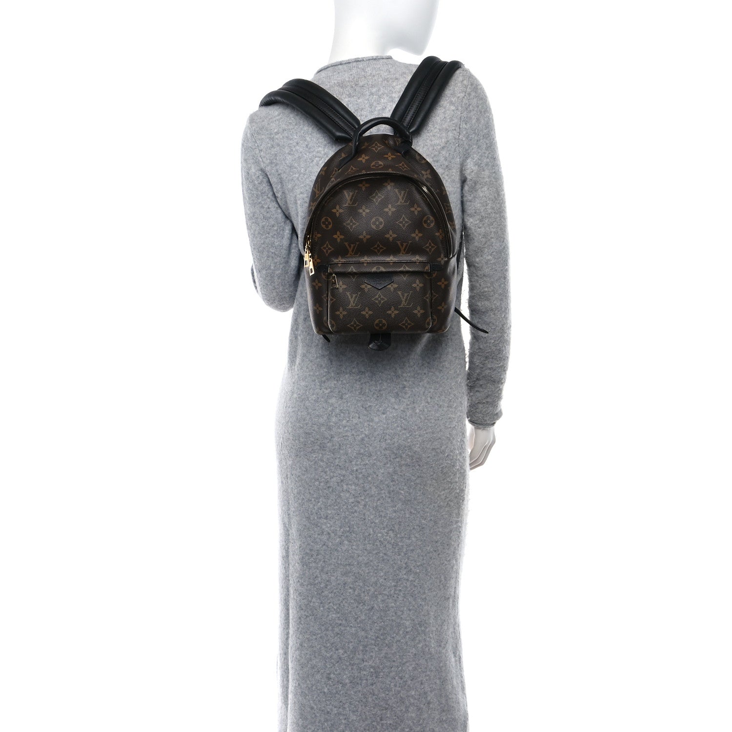 Louis Vuitton Monogram Palm Springs Backpack PM 2 of 9