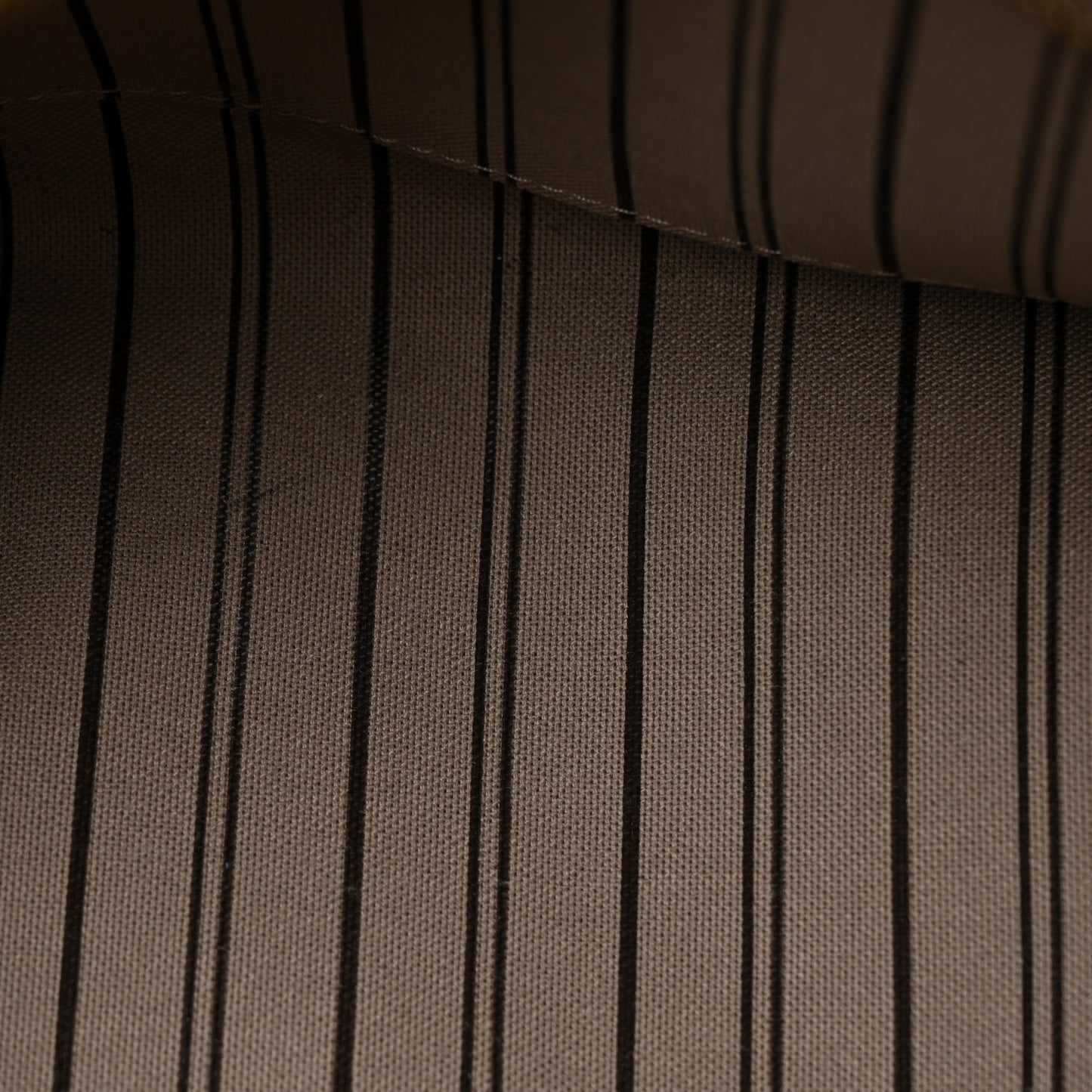Empreinte Marais MM Tourterelle