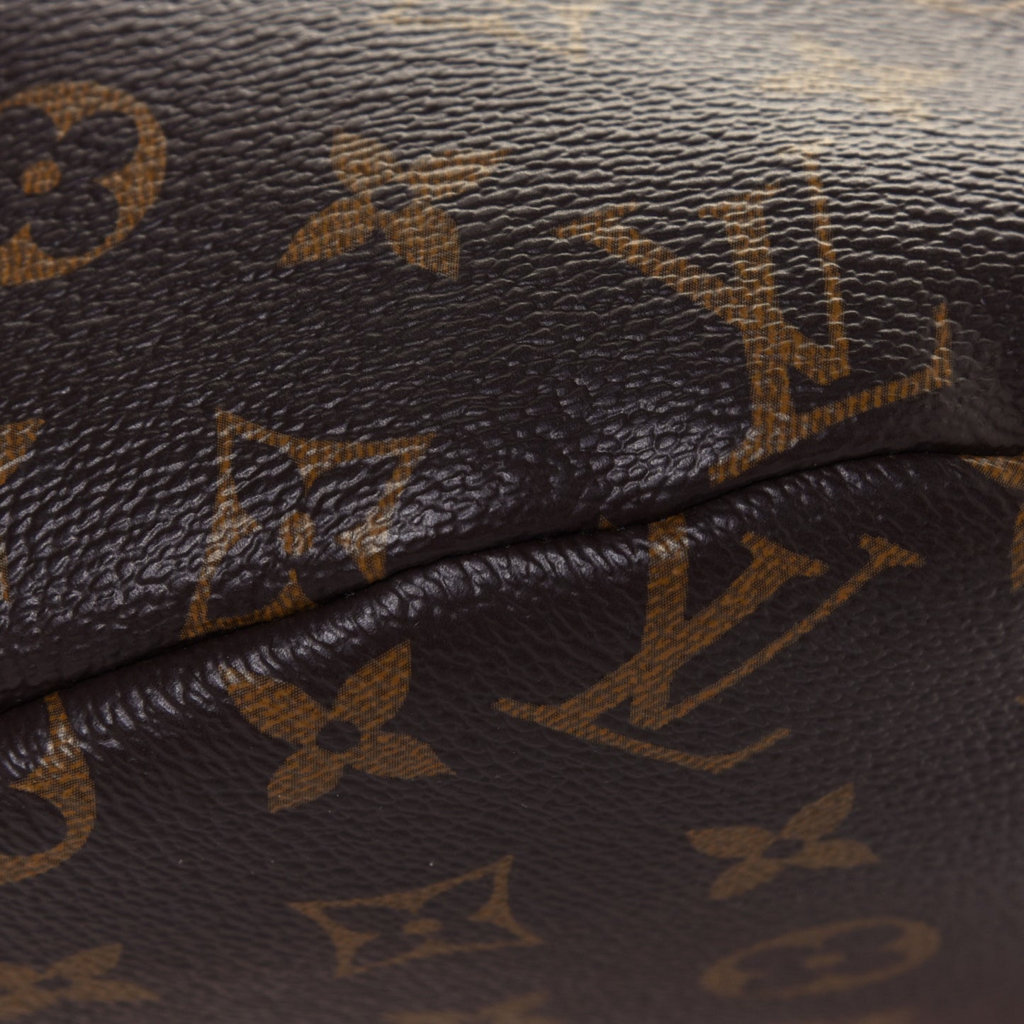Monogram Bumbag