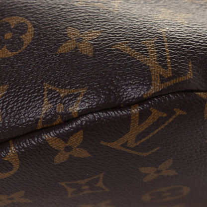 Louis Vuitton Monogram Bumbag 9 of 11