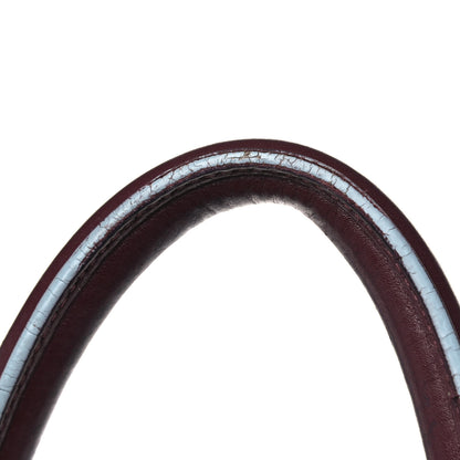 Celine Palmelato Mini Luggage Burgundy Azur Blue 30 of 33