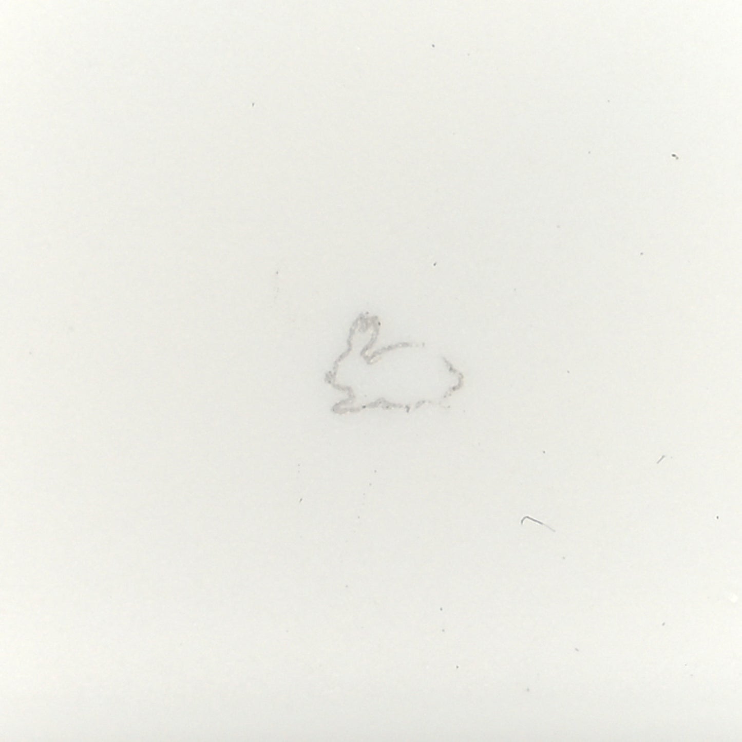 Porcelain Small Passifolia Tray N°2