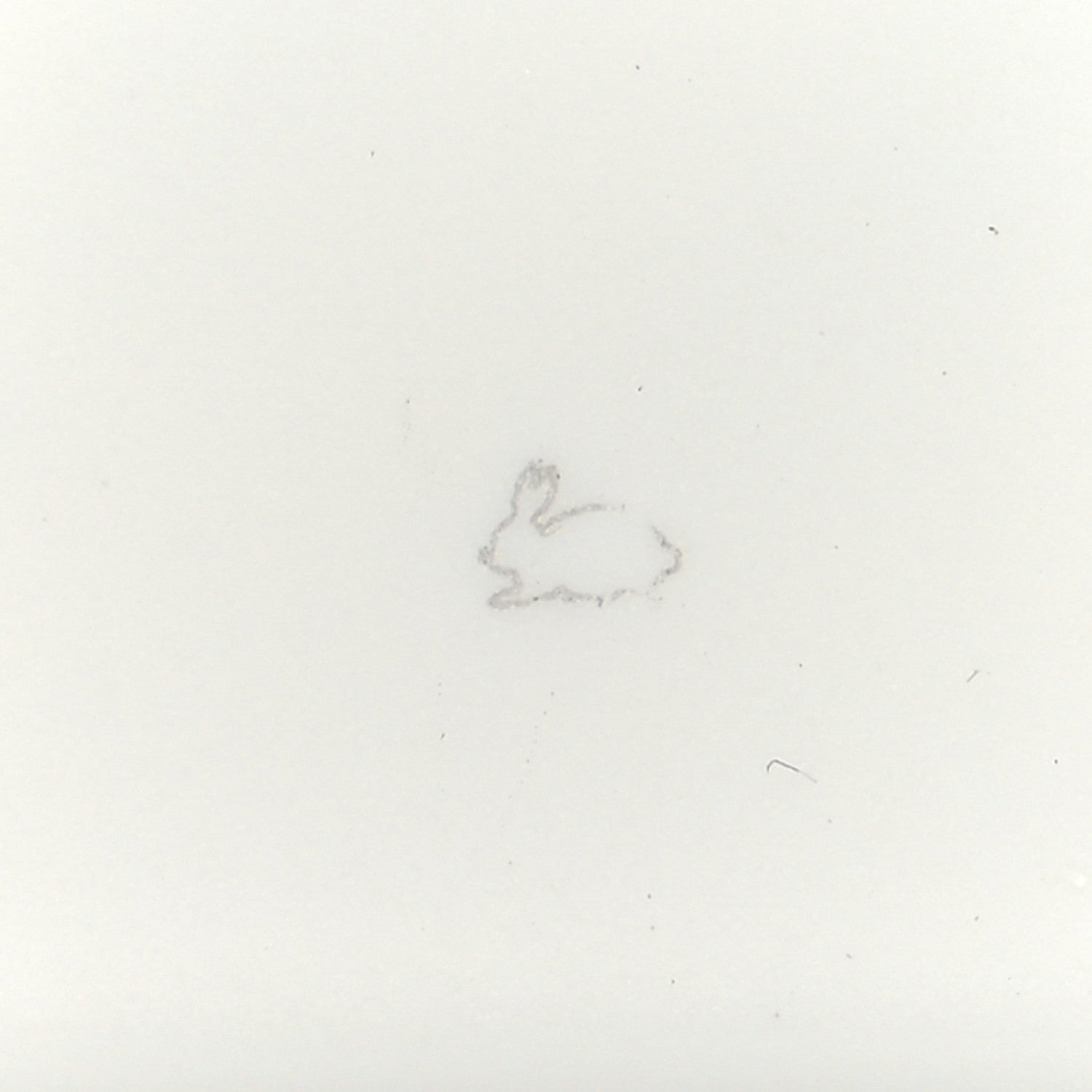 Hermes Porcelain Small Passifolia Tray N°2 6 of 9