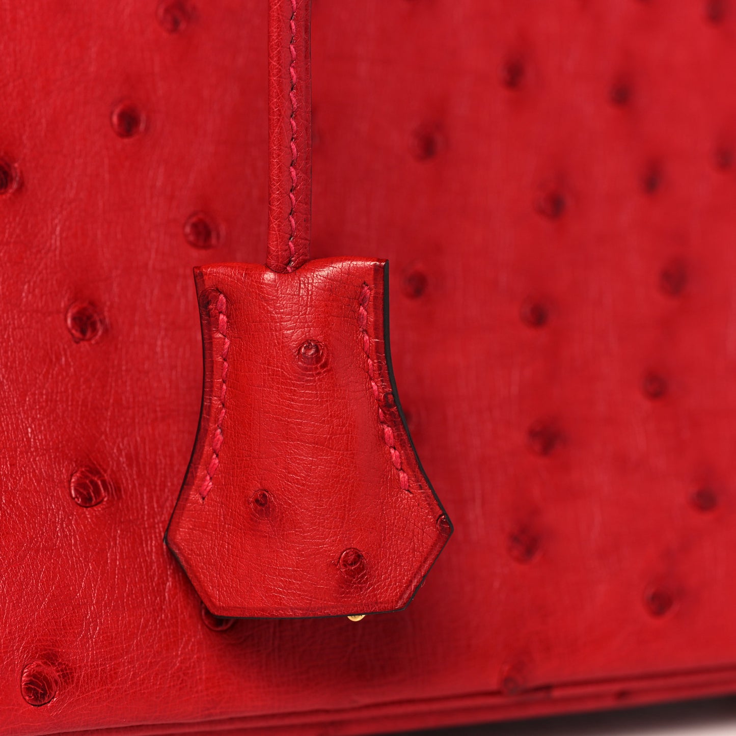 Ostrich Horseshoe Birkin 30 Rouge Vif Bleu Glacier