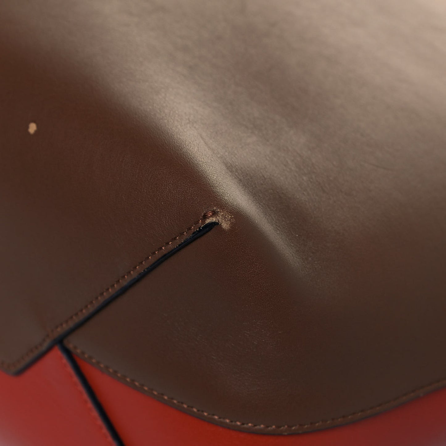 Shiny Smooth Calfskin Small Twisted Cabas Camel Tan