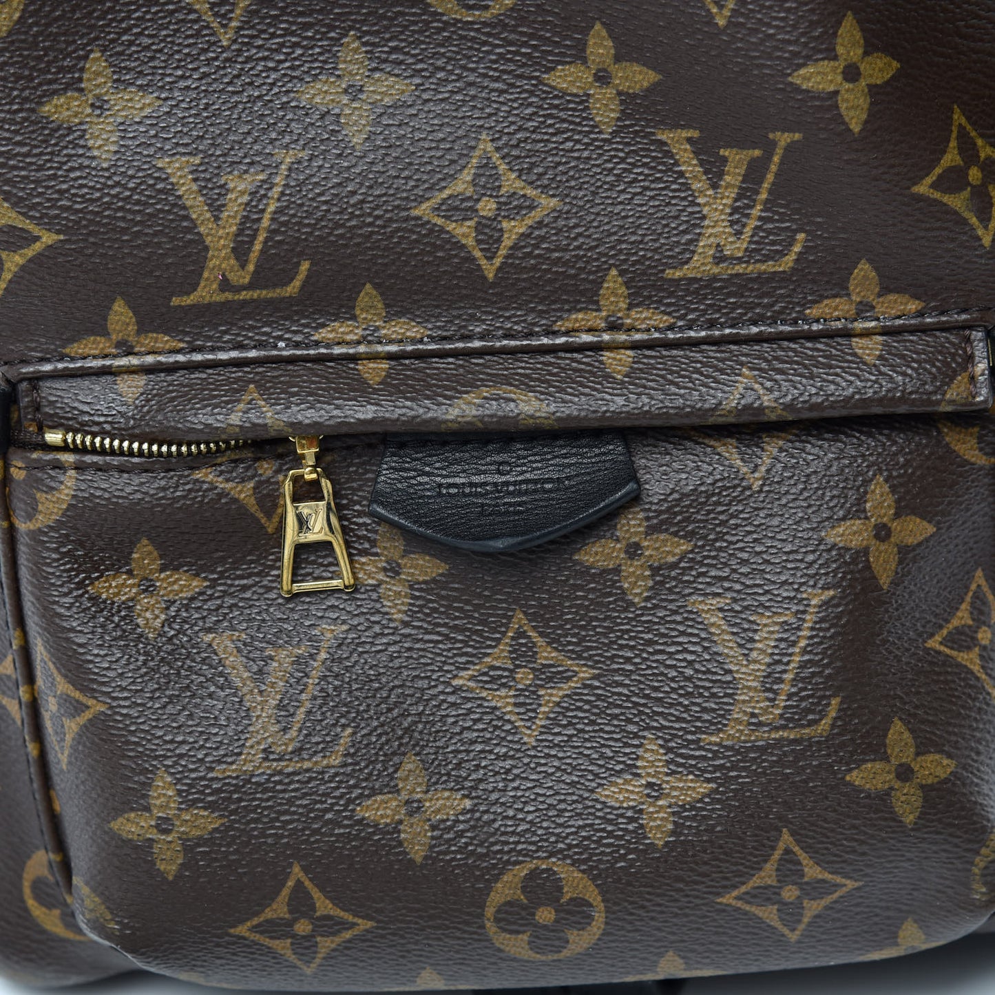 Monogram Palm Springs Backpack PM