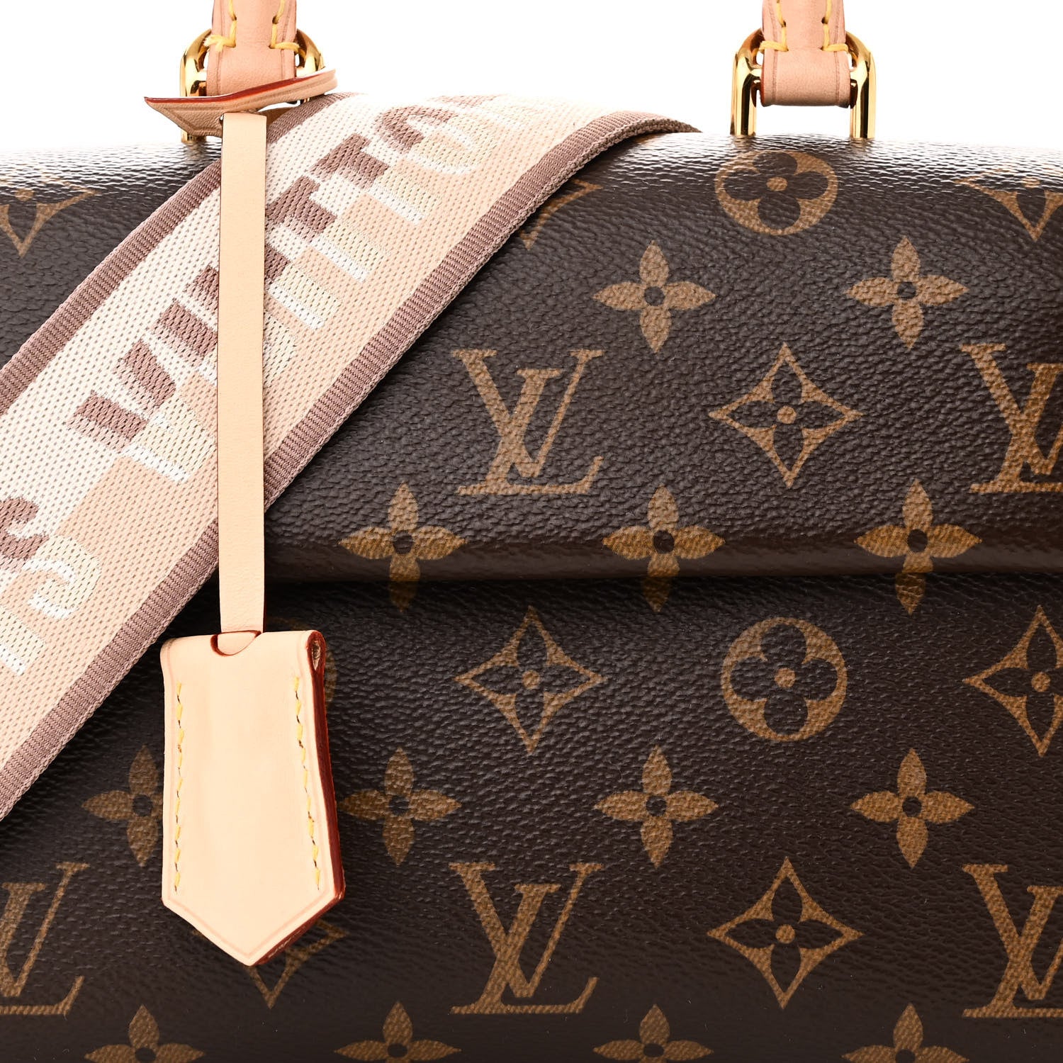 Louis Vuitton Monogram Mini Cluny 7 of 14