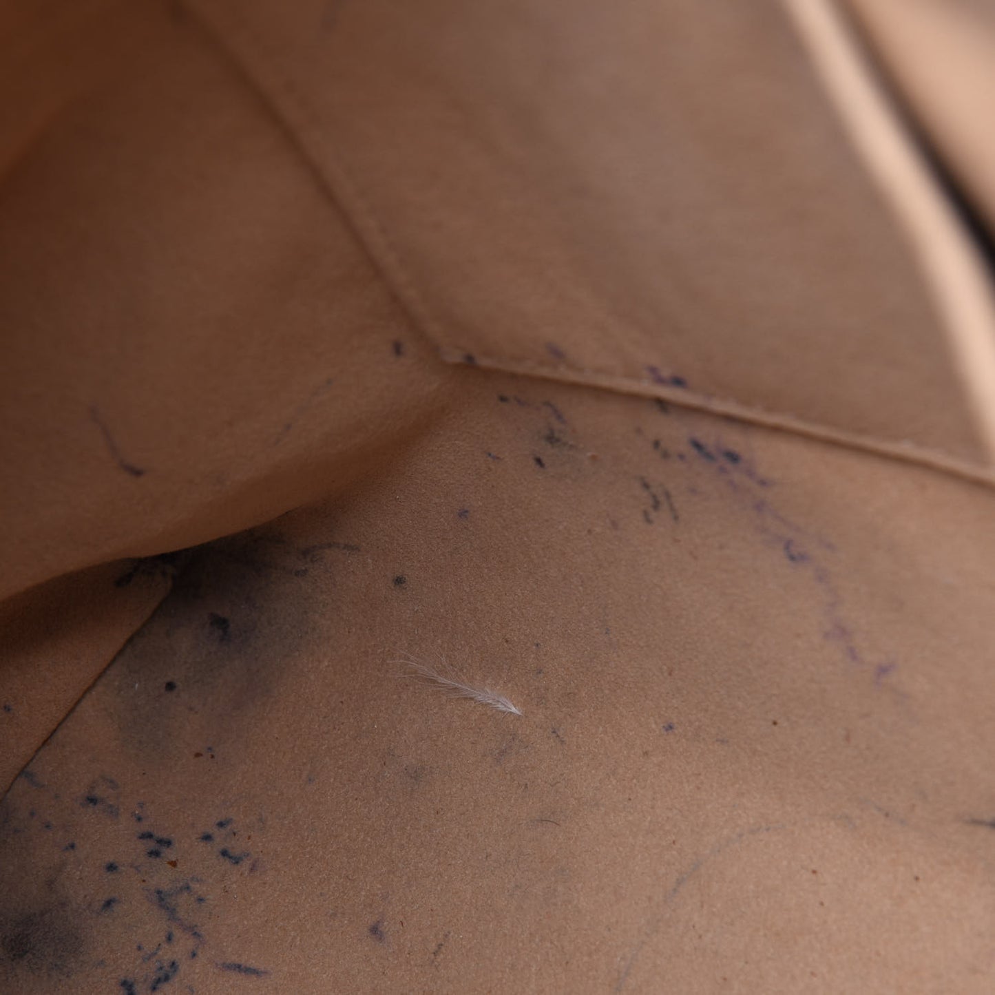Monogram Pallas Dune