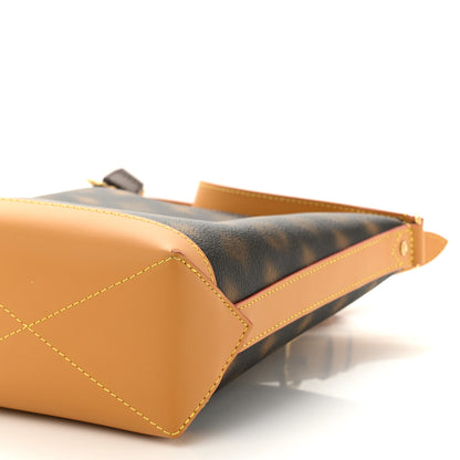 Louis Vuitton Monogram Blurry Hobo Cruiser PM 10 of 10