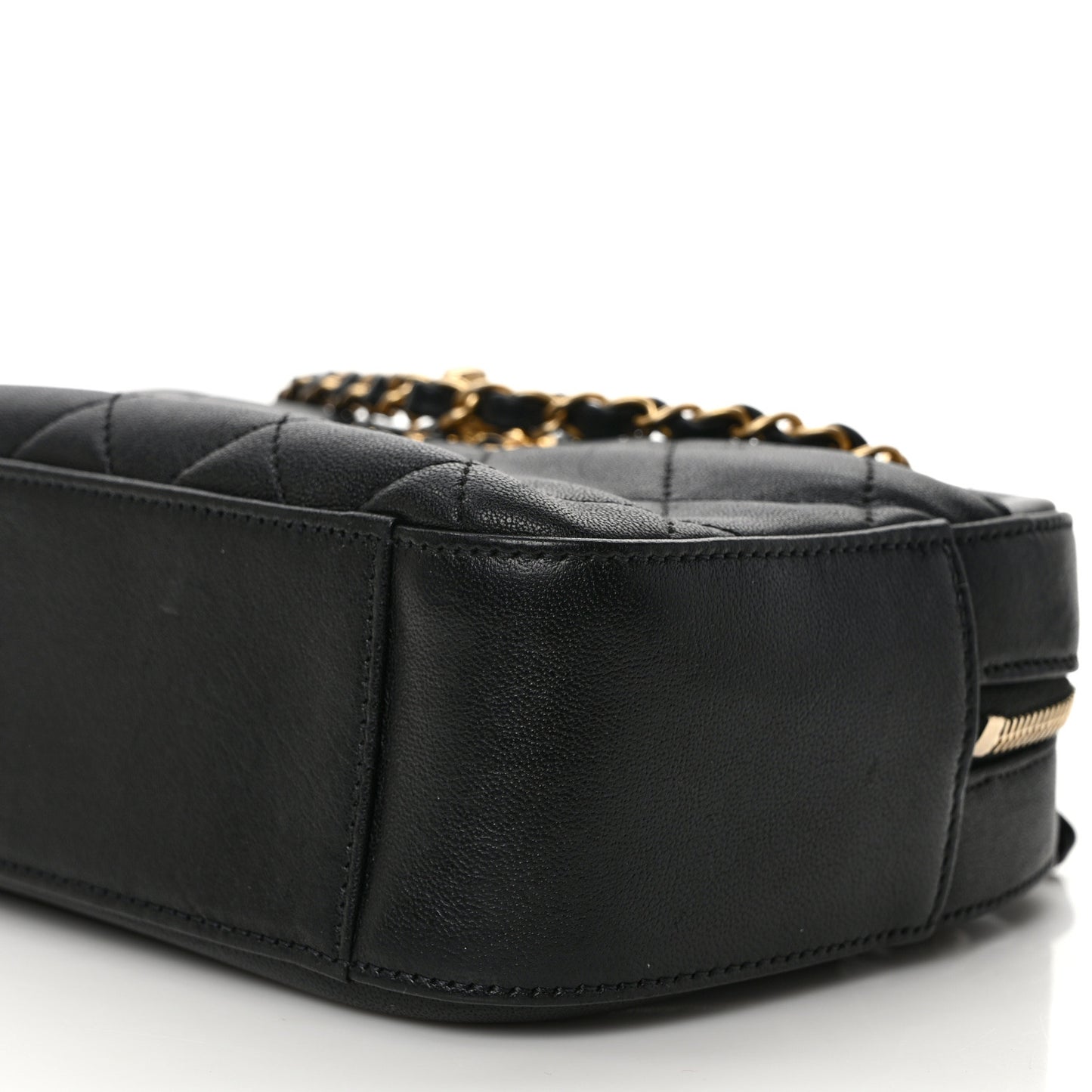 Goatskin Quilted Chanel 19 Camera Case Black