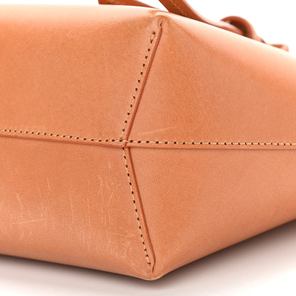 Mansur Gavriel Vegetable Tanned Calfskin Mini Bucket Bag Camello Rosa 10 of 14