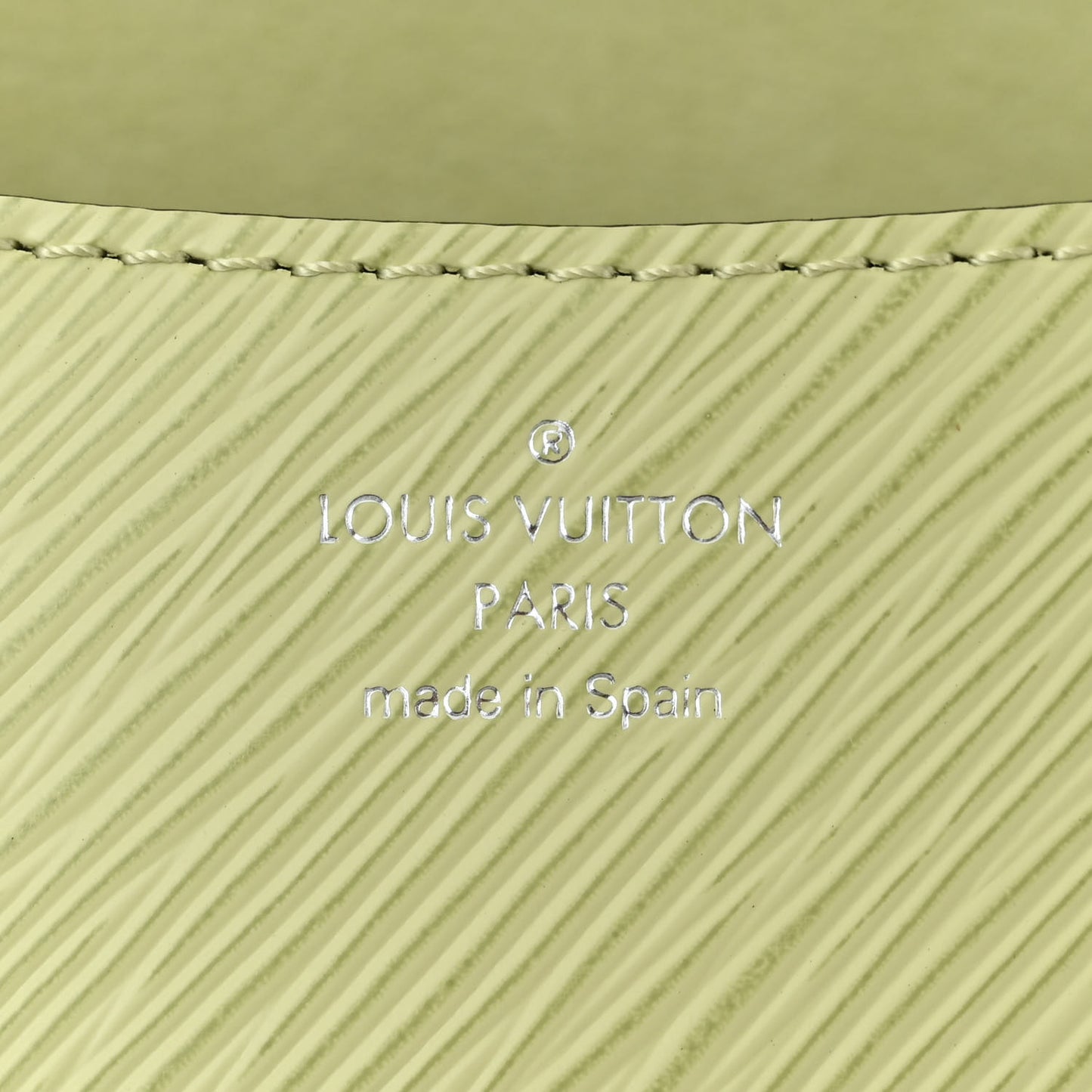 Epi Buci Crossbody Light Green