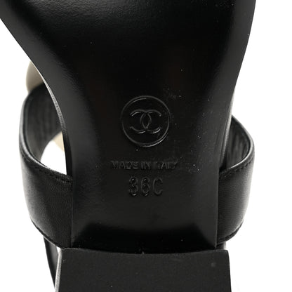 Chanel Lambskin Camellia Thong Sandals 36 Black White 6 of 8