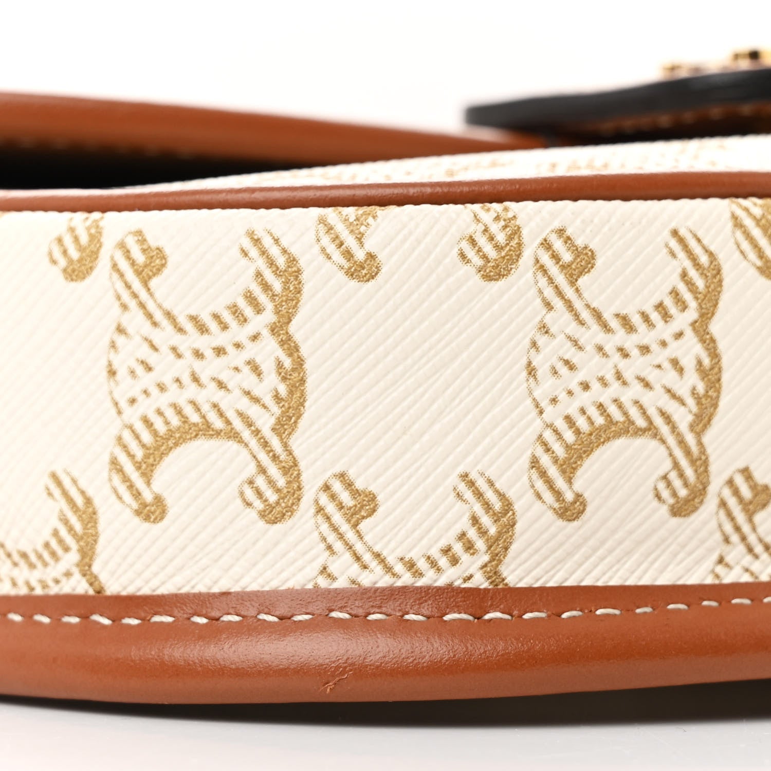 Celine Triomphe Canvas Calfskin Mini Besace Bag White 9 of 10