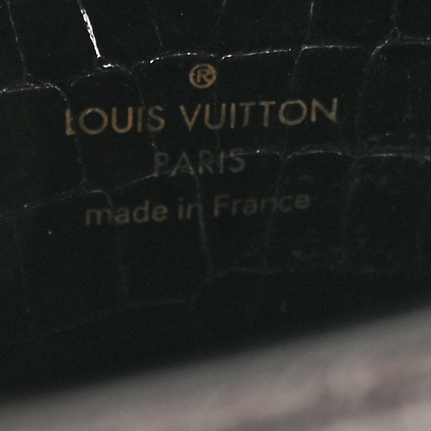 Louis Vuitton Crocodile Twist Mini Shoulder Bag Black 7 of 16