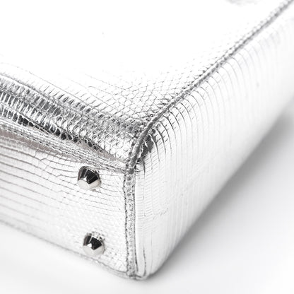 Christian Dior Metallic Lizard Mini Lady Dior Silver 12 of 17