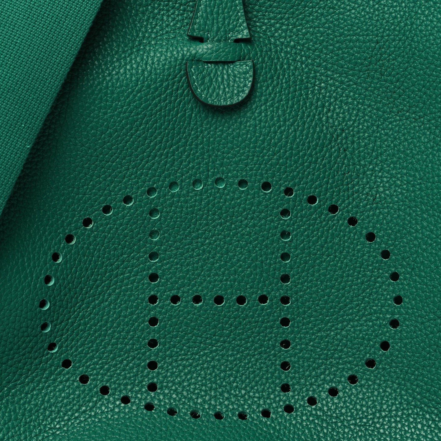 Taurillon Clemence Evelyne III PM Vert Vertigo