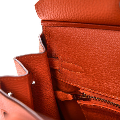 Hermes Togo Birkin 25 Feu 19 of 33