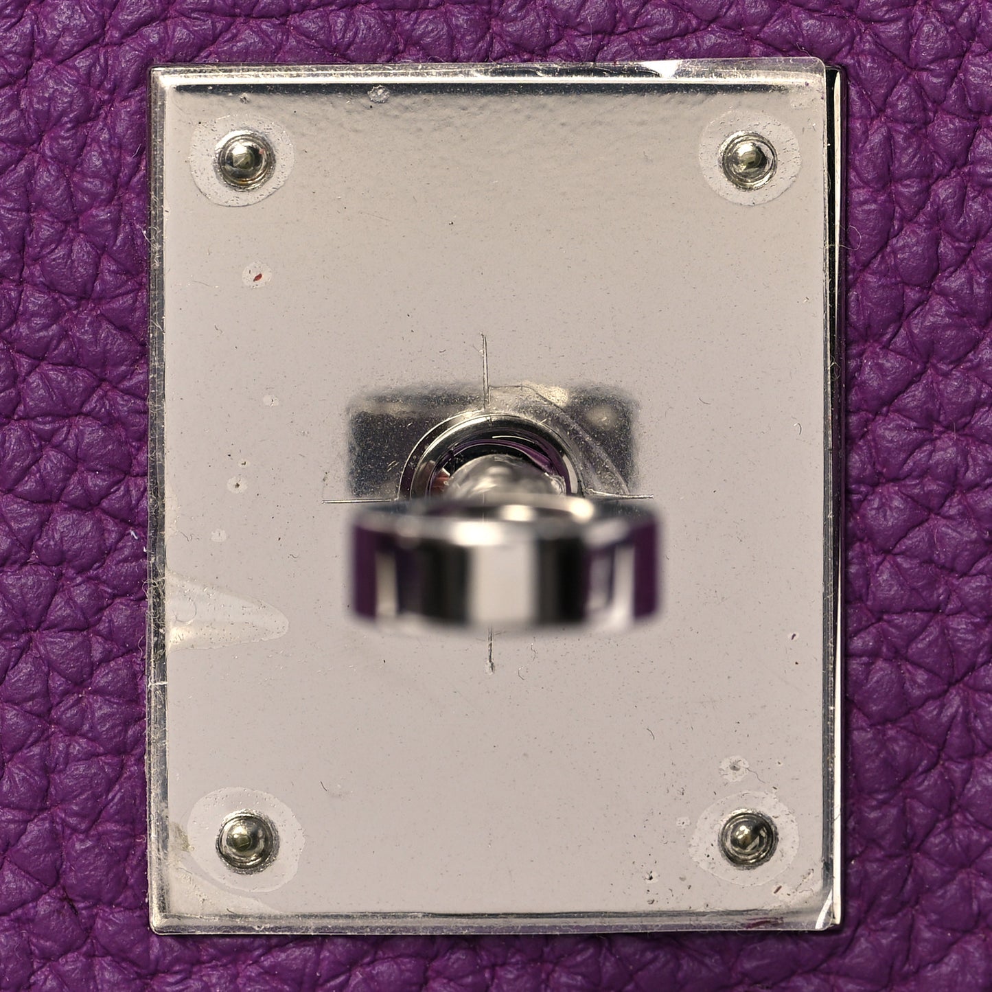 Togo Birkin 30 Anemone