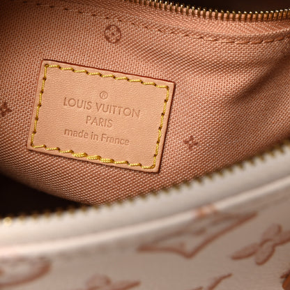 Louis Vuitton Monogram Fall for You Speedy Bandouliere 25 Beige Clair 6 of 9
